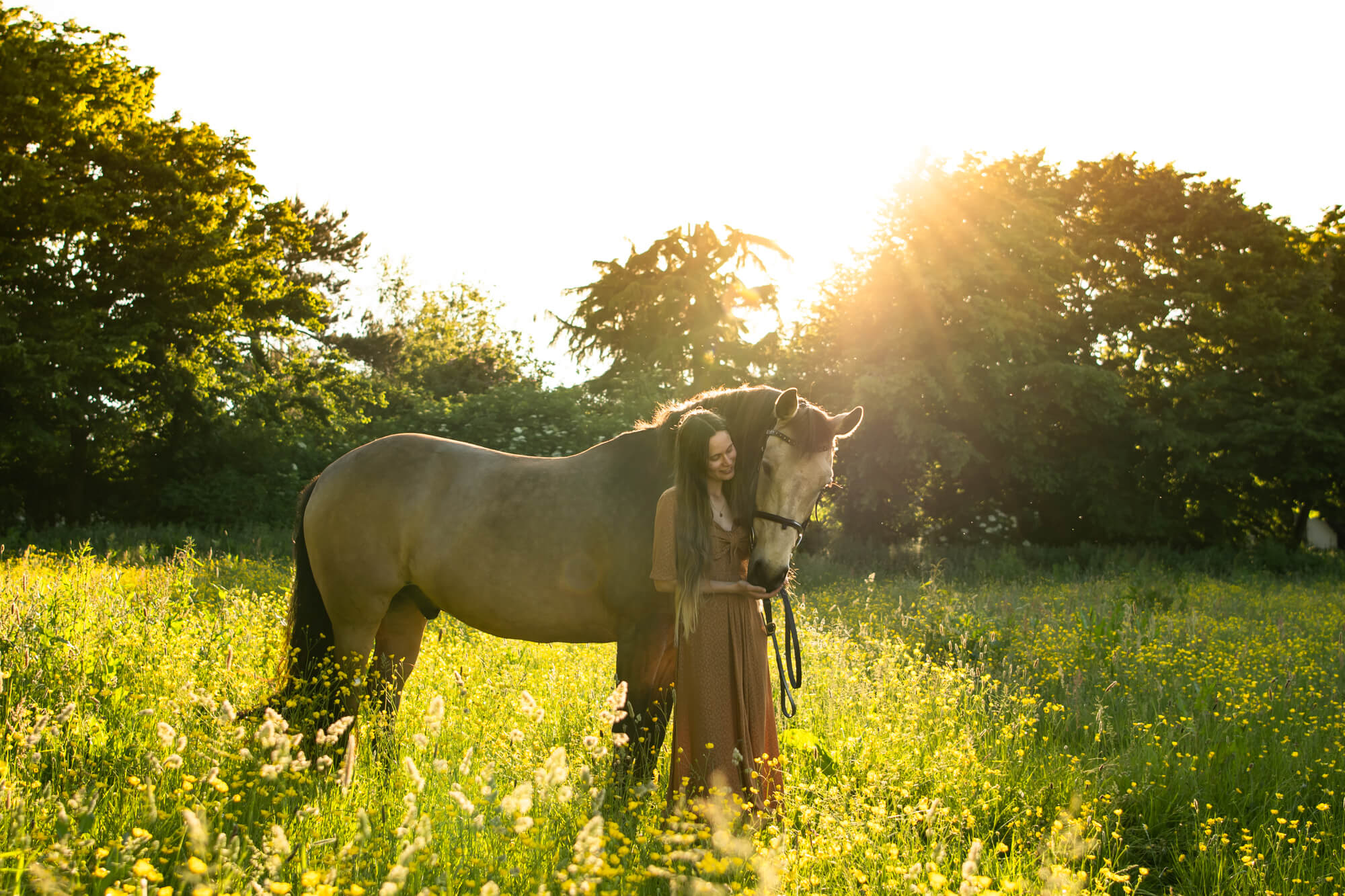 Chloe Bolam - Golden hour Equine Photoshoot Buckinghamshire