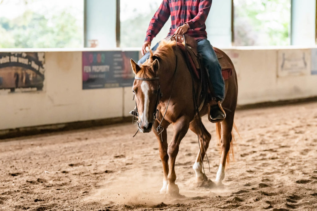UK Equine Photographer - Chloe Bolam Photography - UK Western Horse Riding