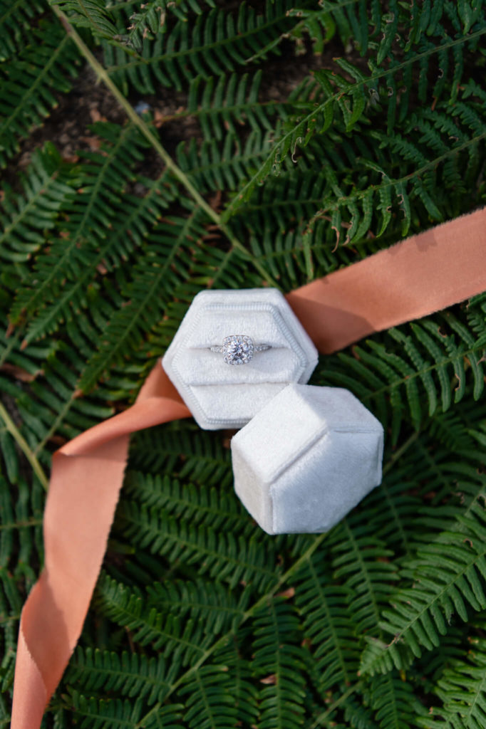 Chloe Bolam - UK Elopement Tips - Woods Elopement Wedding Photographer - wedding ring and box details