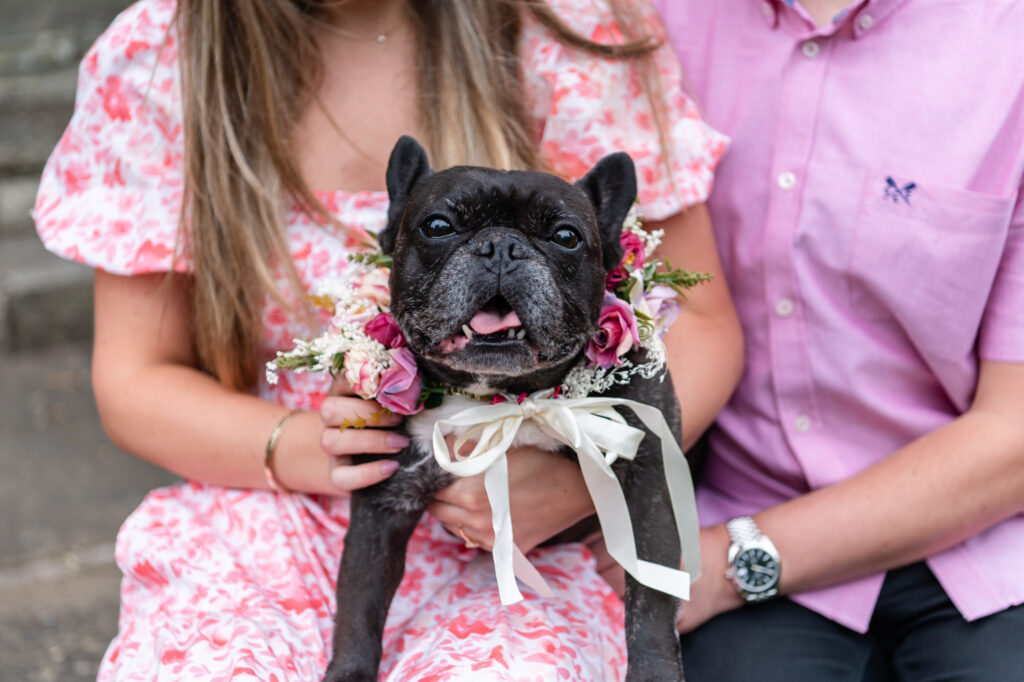 Pets at weddings adding a personal touch to the couples wedding photos, with the dog wearing florals